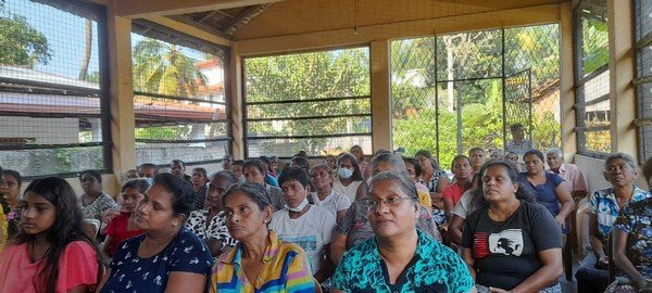 Distribution of vegetable plants and pots to families who are engaged in gardening in Jalthara (2023-01-04)